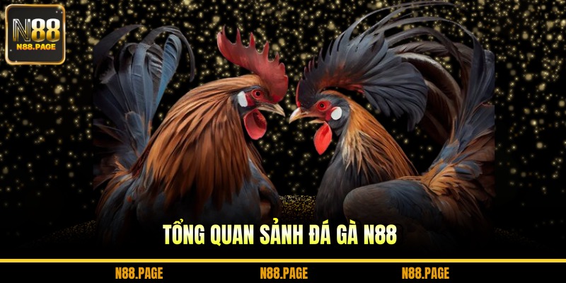 Tổng quan sảnh đá gà N88
