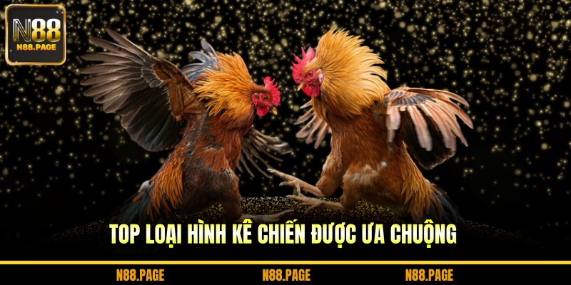 Top loại hình kê chiến được ưa chuộng